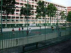 Blk 925 TAMPINES PALMSPRING (Tampines), HDB 3 Rooms #583314131